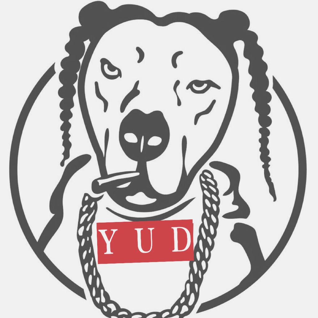 Y.U.D Underground rap label