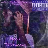 Hood Testimony