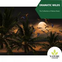 Dramatic Wilds - The Collection of Nature Music