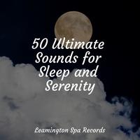 50 Ultimate Sounds for Sleep and Serenity