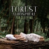 Atmosfera forestale per dormire: Musica rilassante per aiutarti a rilassarti e ad addormentarti