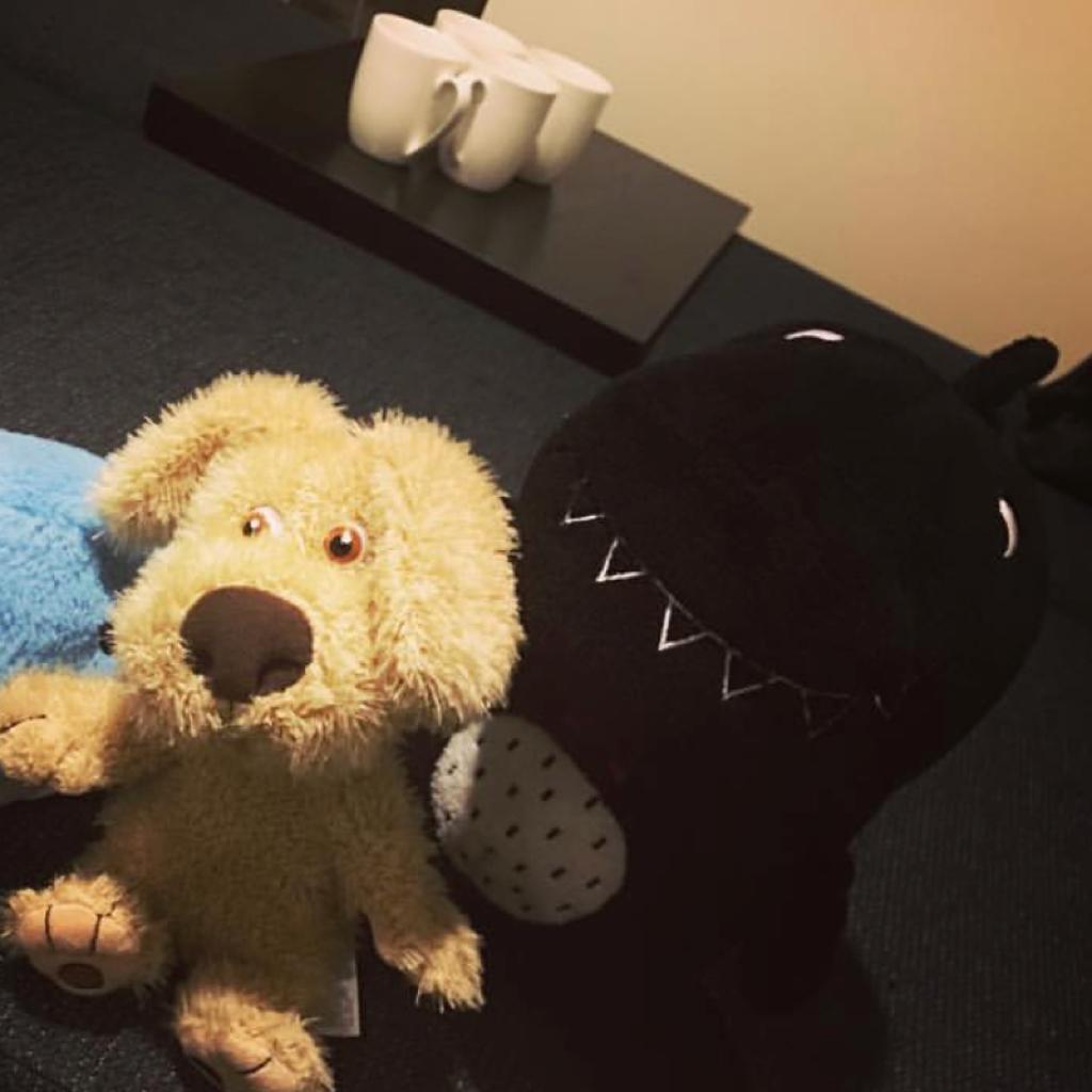 树的猫和我的她丶