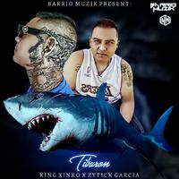 Tiburon Remix (feat. Zityck Garcia) (Remix)