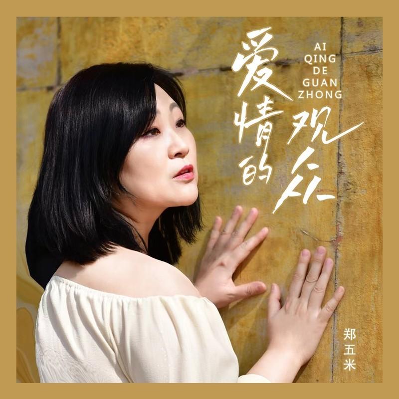 爱情的观众 (DJ沈念版)封面