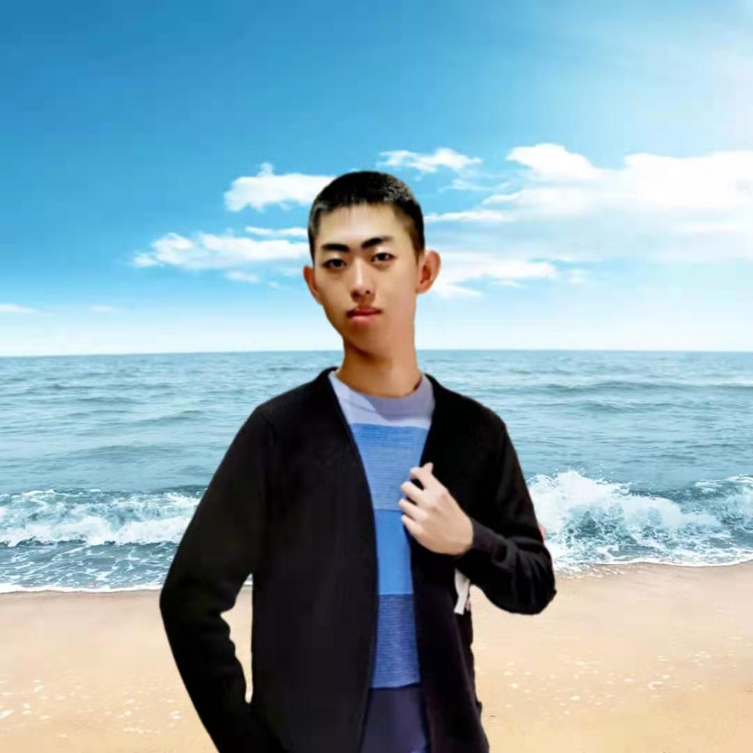 飞翔吧！神圣战机封面