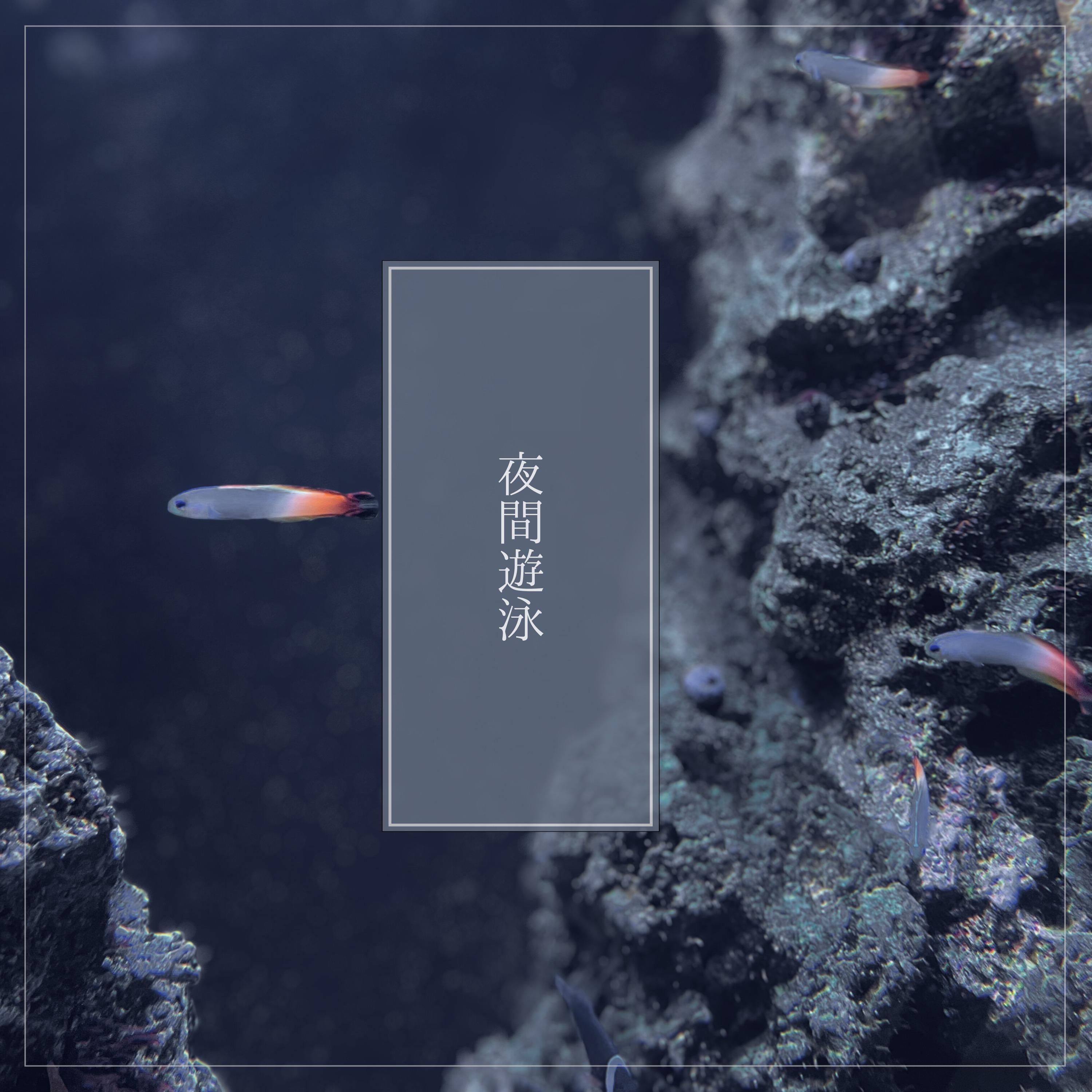 綺羅 (夜間遊泳)封面