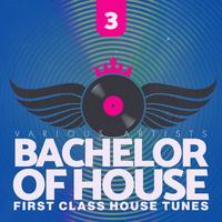 Bachelor of House, Vol. 3