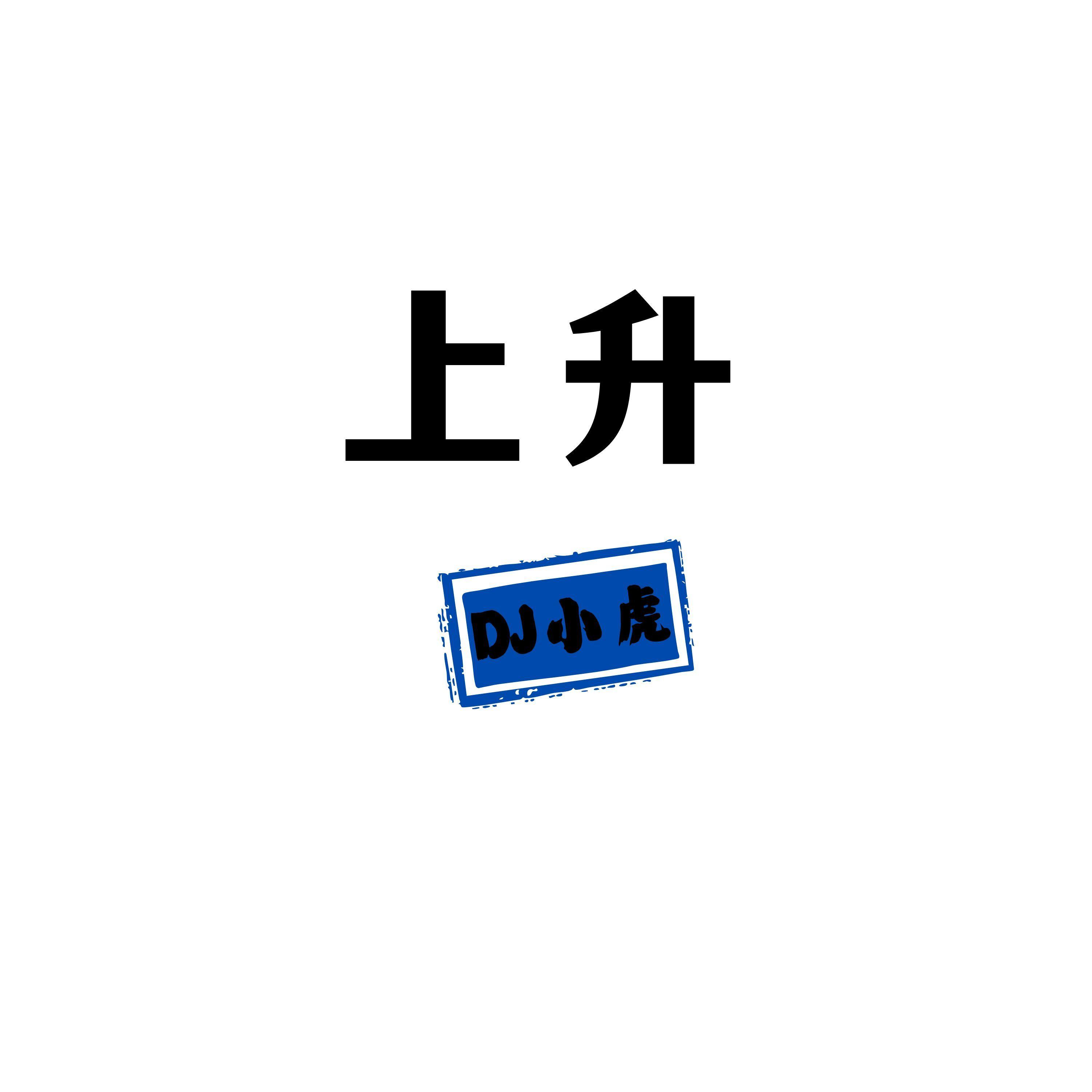 上升（DJ小虎版）伴奏封面