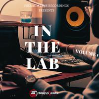 In The Lab Vol. 1