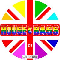 House & Bass, Vol. 23