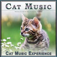 Cat Music: Relaxing Cat and Pet Music for Anxiety, Cat Sleep