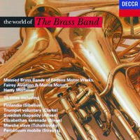 Meyerbeer/J.Strauss II/Tchaikovsky etc.: The World of the Brass Band - Coronation March/Czech Polka etc.