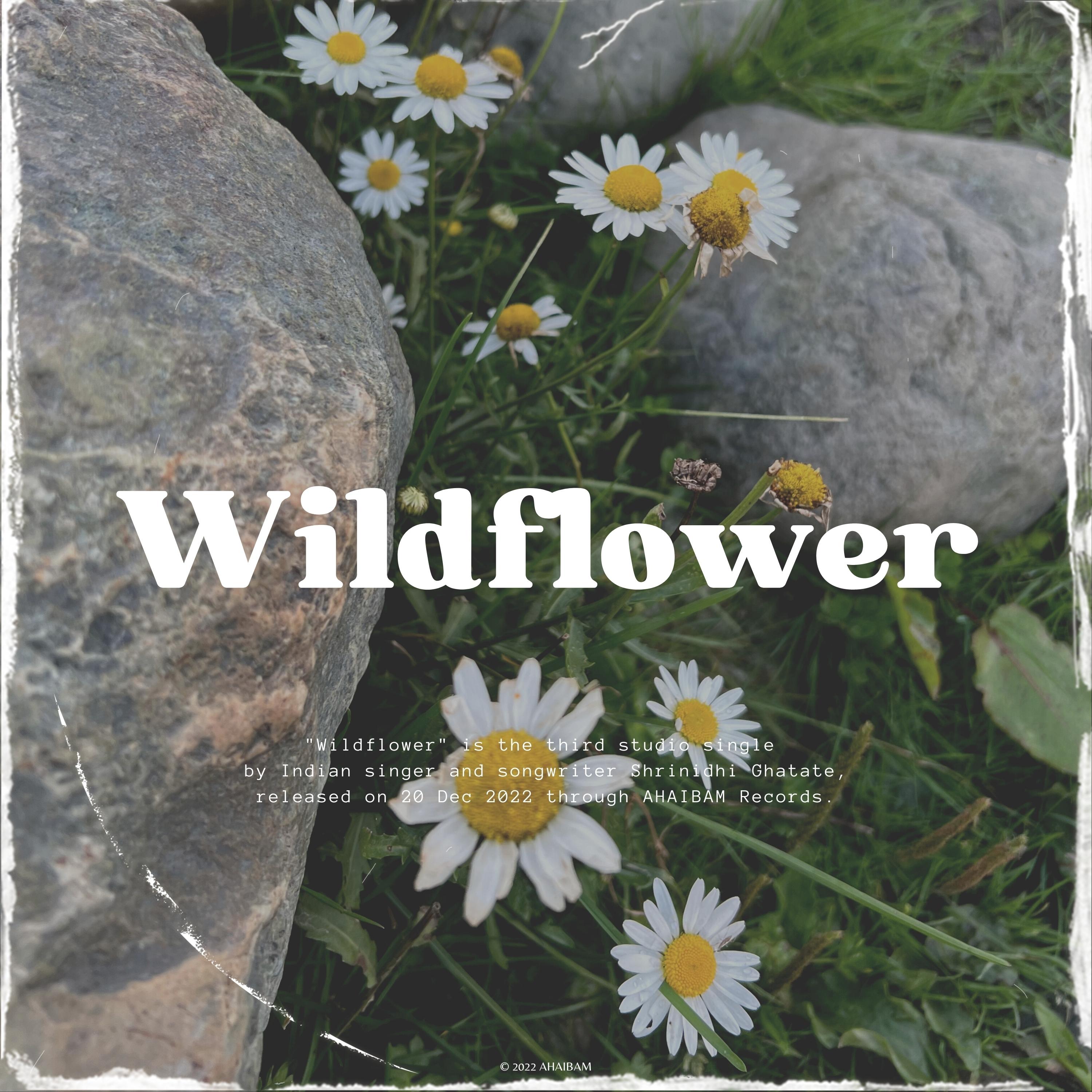 Wildflower - Shrinidhi Ghatate封面