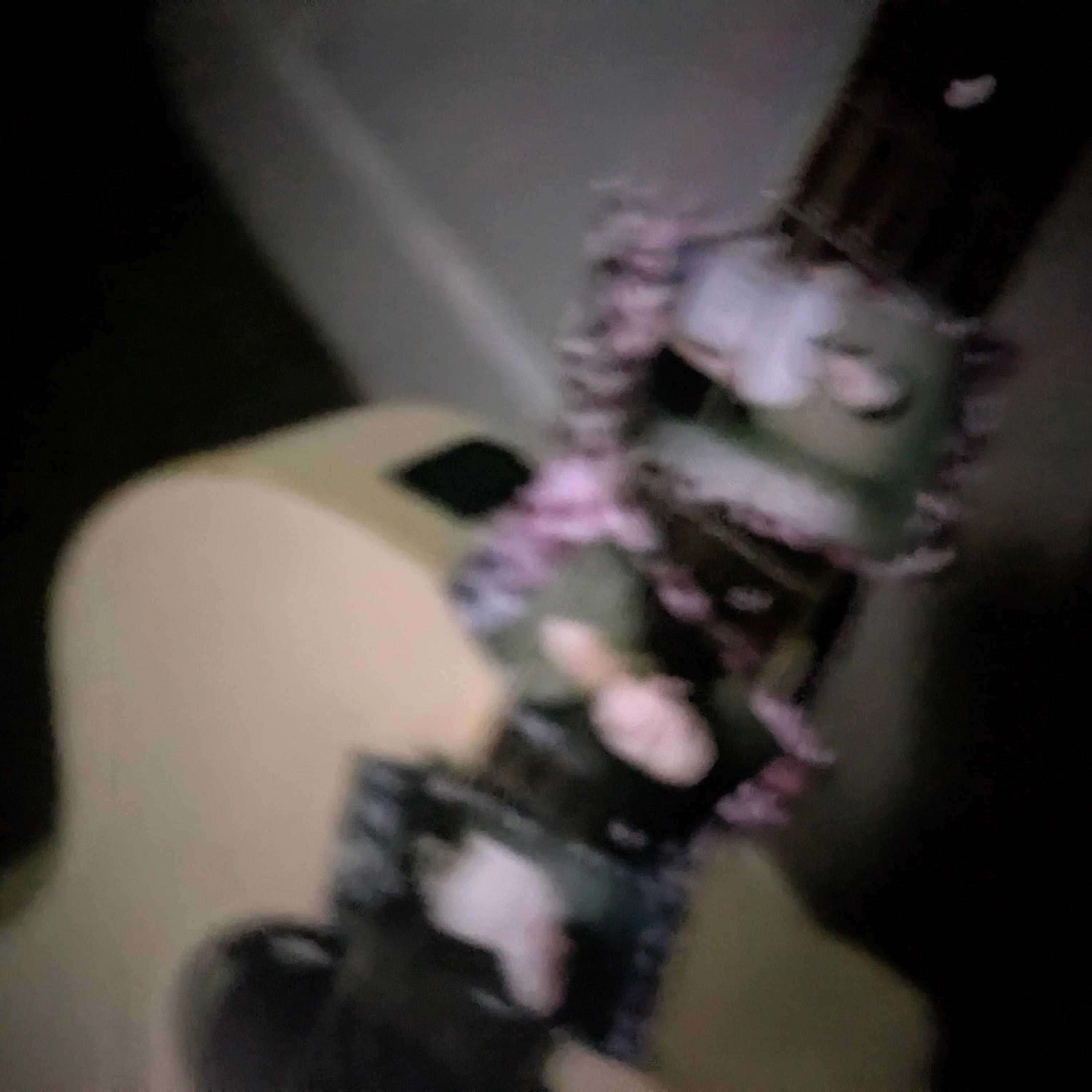 dear spring (single version)