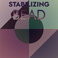 Stabilizing Bead