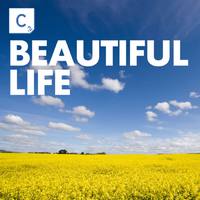 Beautiful Life