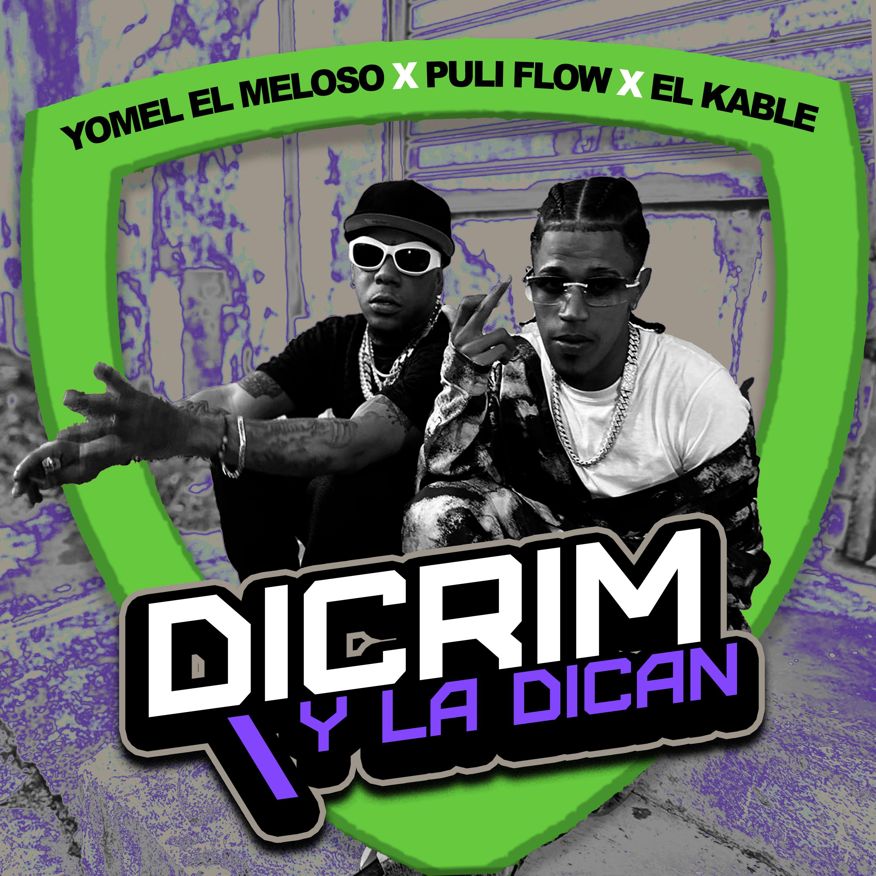 Dicrim y la Dican