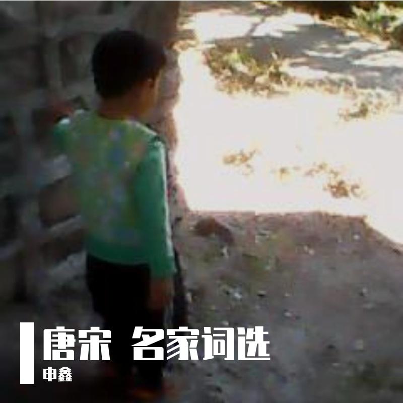ⅩⅩⅩⅡ唐宋 名家词选（叁拾贰）念奴娇 赤壁怀古、南乡子、临江仙、卜算子、满庭芳、水调歌头、定风波封面