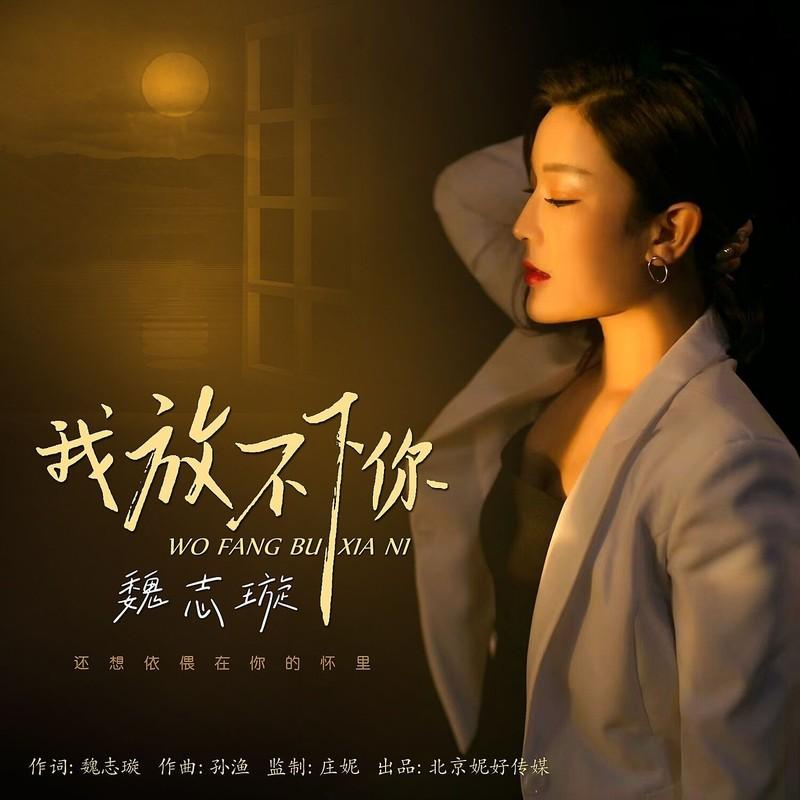 我放不下你封面