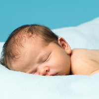 Baby Bears资料,Baby Bears最新歌曲,Baby BearsMV视频,Baby Bears音乐专辑,Baby Bears好听的歌