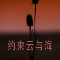 礼云资料,礼云最新歌曲,礼云MV视频,礼云音乐专辑,礼云好听的歌