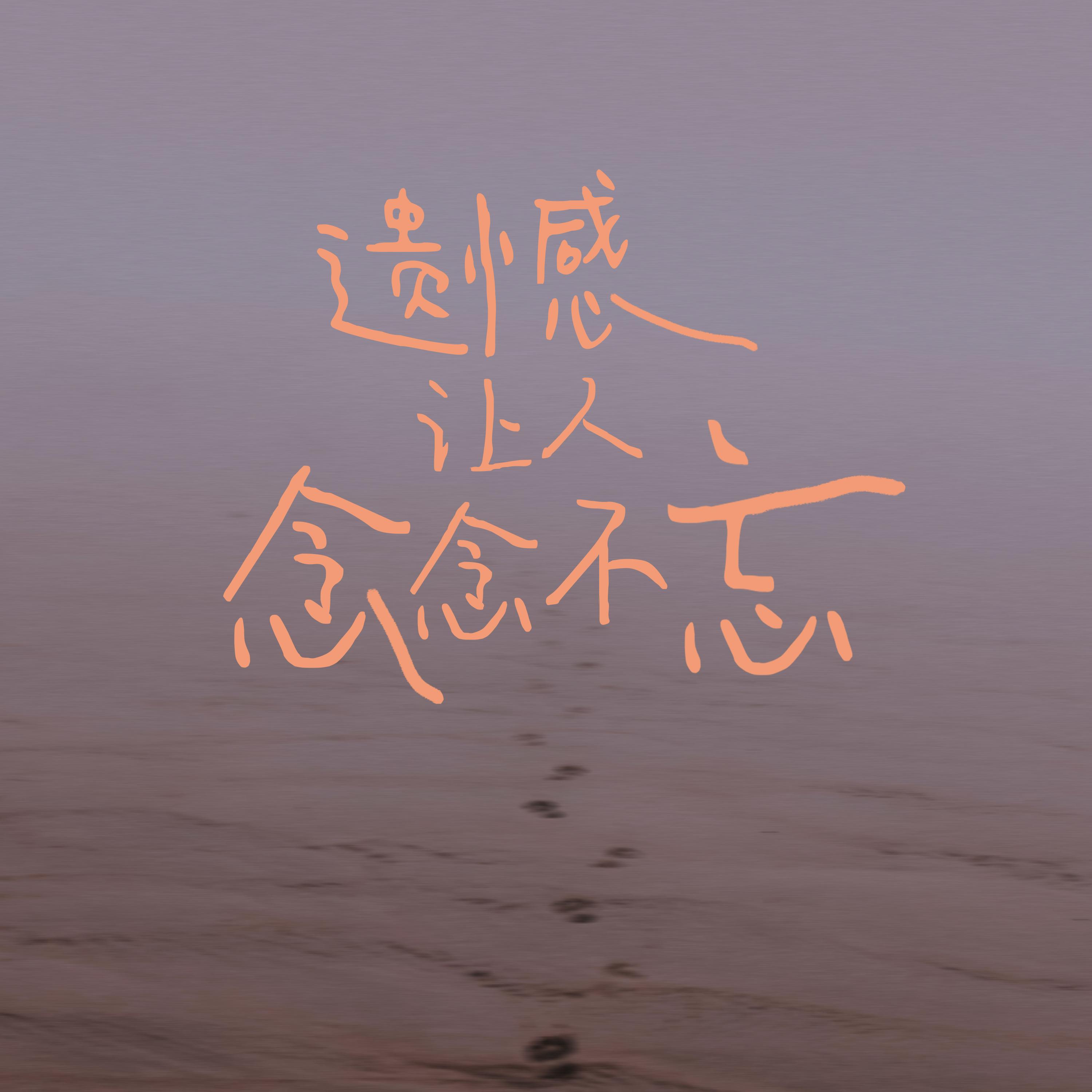 梦里那片宁静的海封面