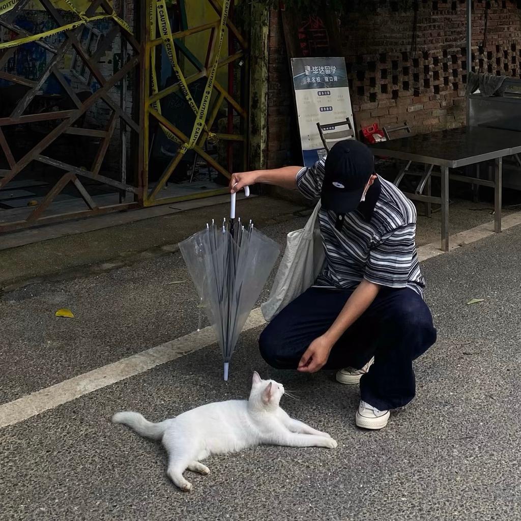 笑逐颜开的仓鼠