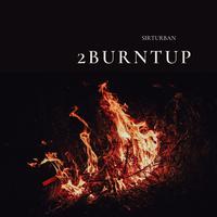 2BURNTUP