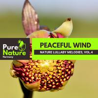 Peaceful Wind - Nature Lullaby Melodies, Vol.4