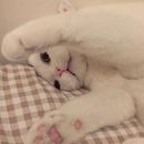 包包.suyi