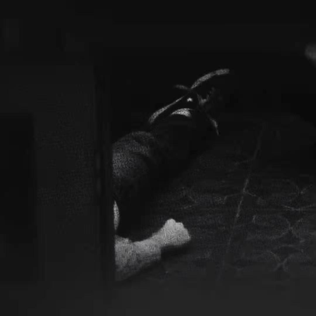 Lounge Act（Nirvana cover)