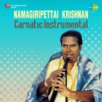 N Krishnan Carnatic Instrumental