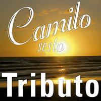 Tributo a Camilo Sesto