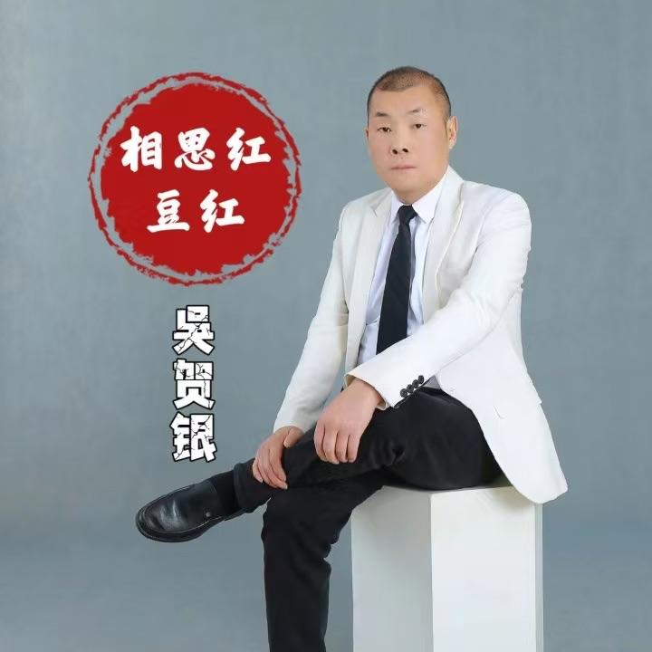 相思红豆红(DJ版)（伴奏） - 吴贺银封面