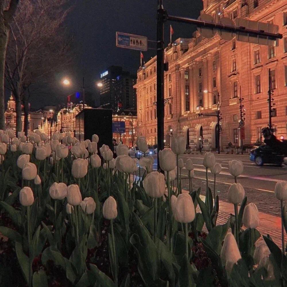 九张机伴奏干音(3)