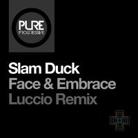 Face & Embrace (Luccio Remix)