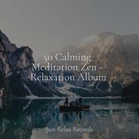 50 Calming Meditation Zen - Relaxation Album