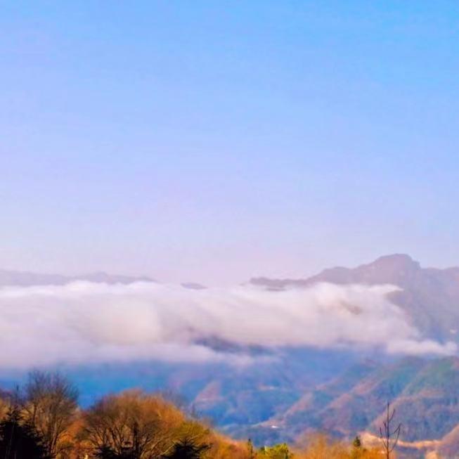 欲望与绝望之争