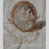 scenes of reflections (feat. tomkillsjerry)