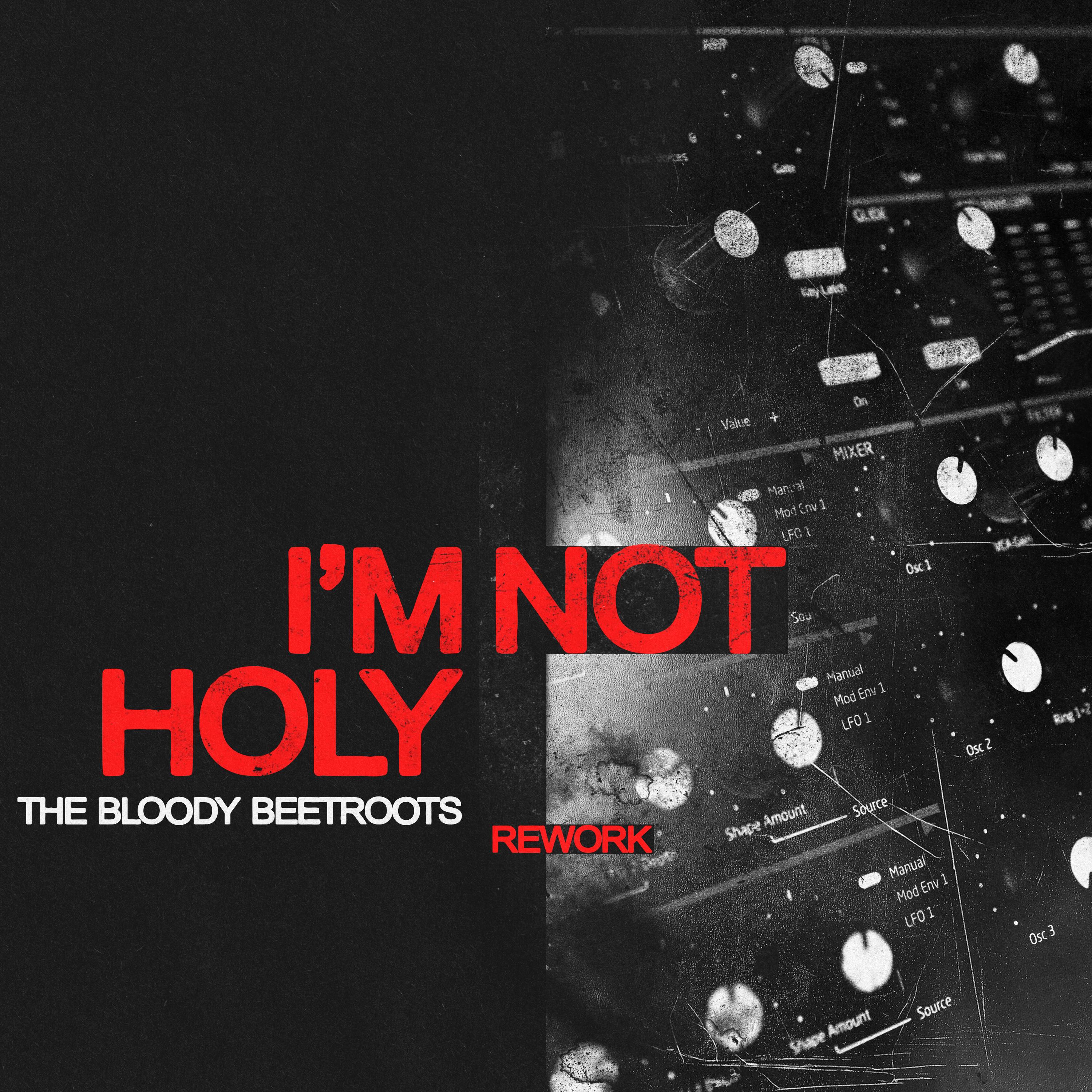 I'm Not Holy (Radio Edit)