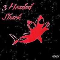 3 Headed Shark