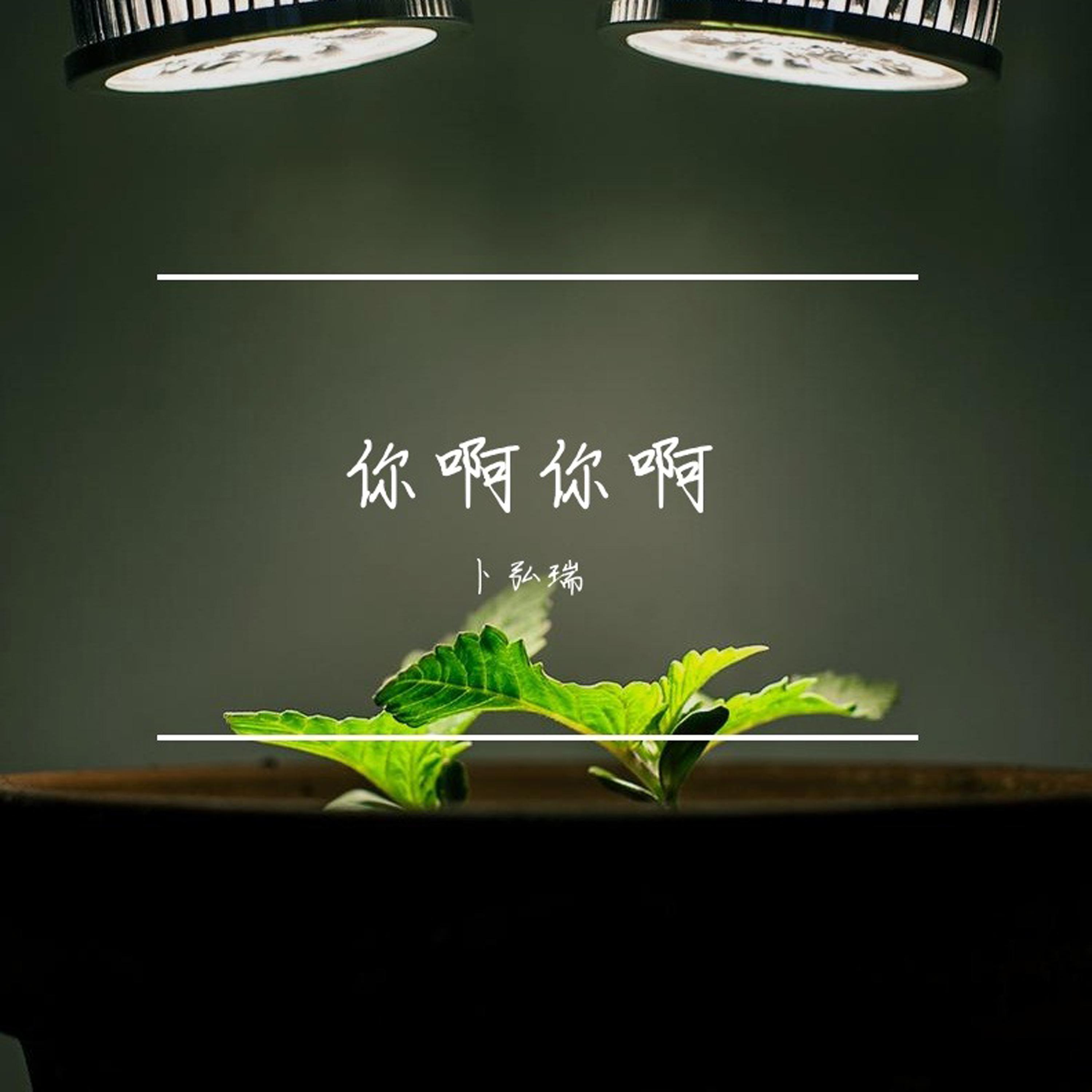 你啊你啊 (伴奏)封面