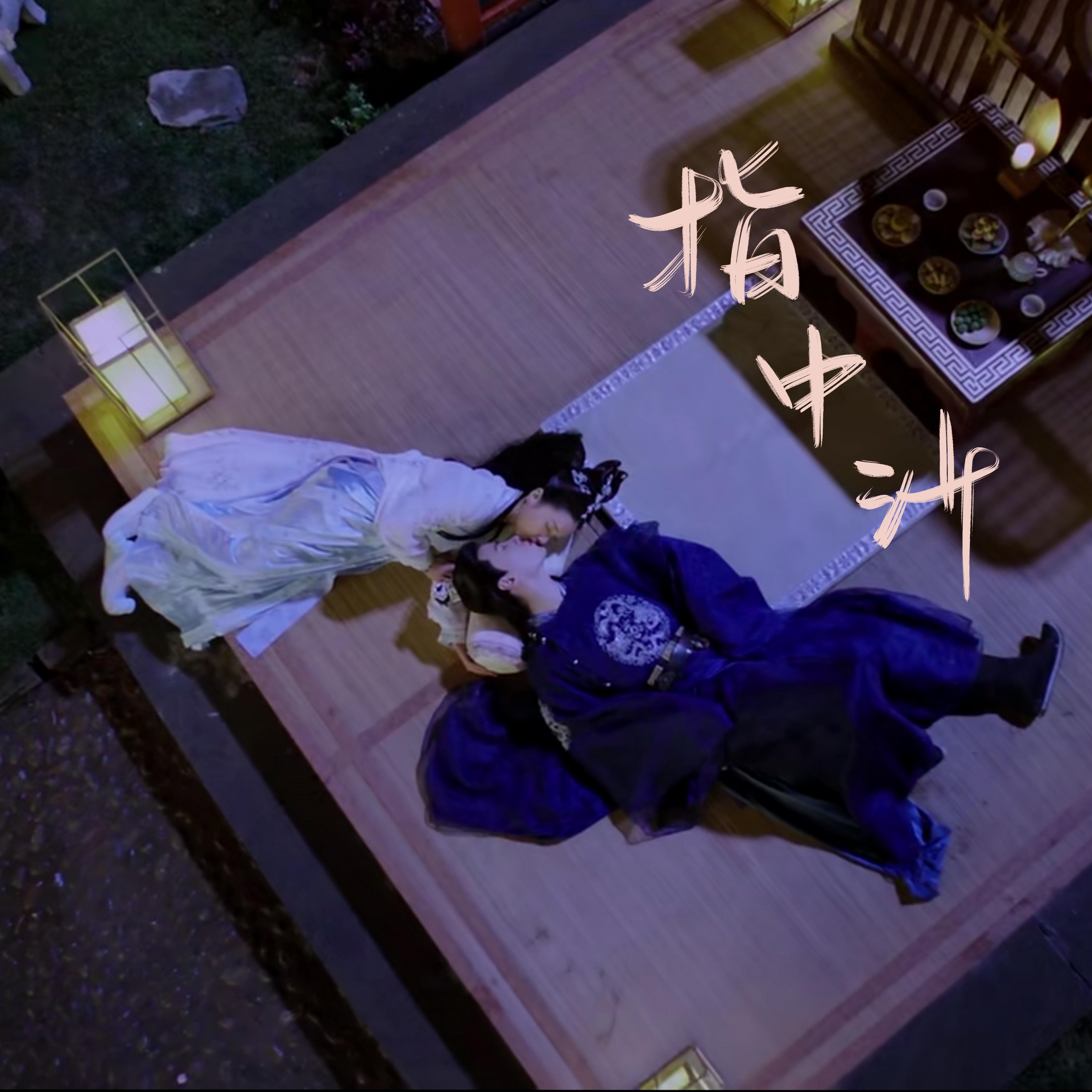 指中沙封面