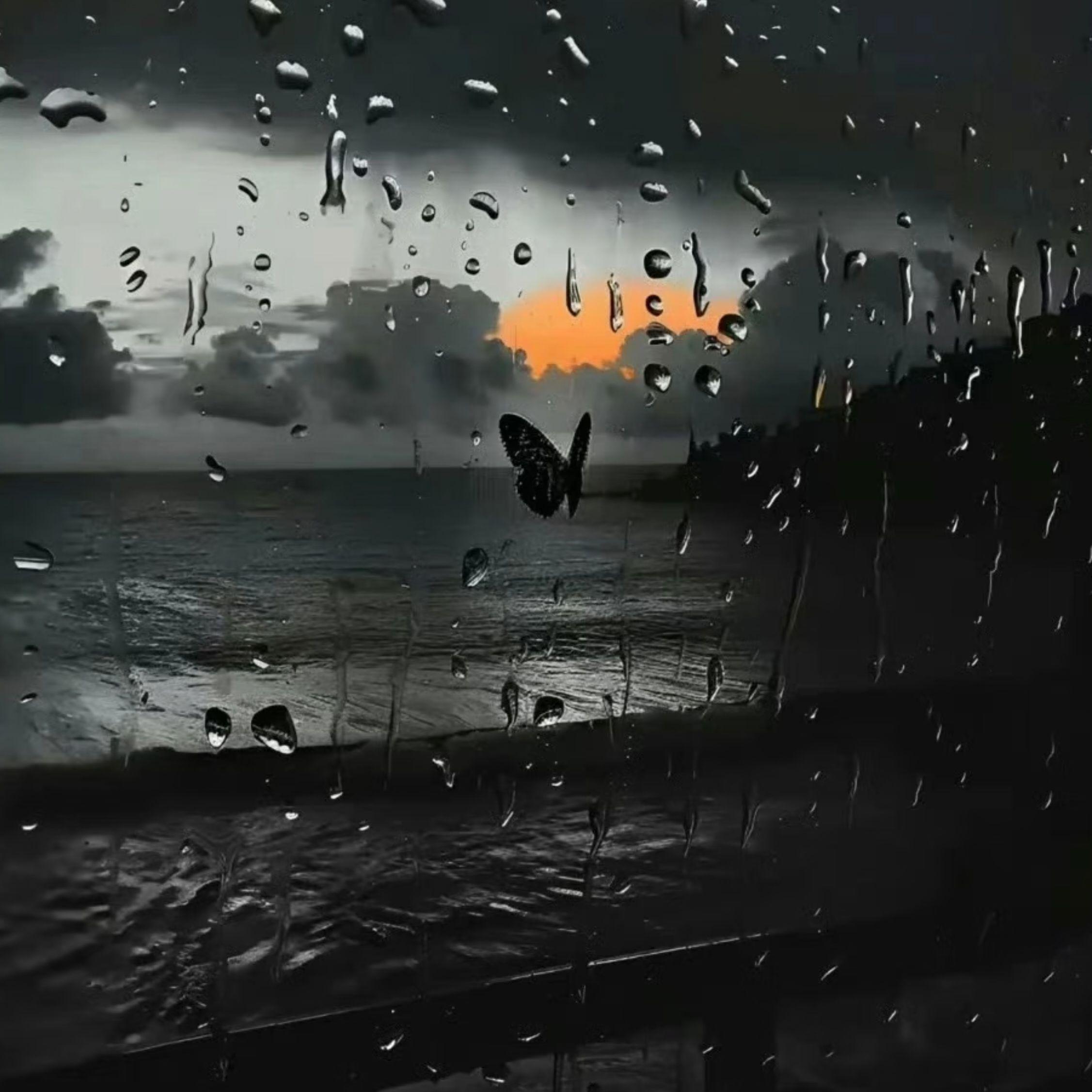 雨告解封面
