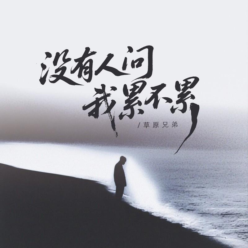 没有人问我累不累封面