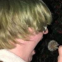 Blue Pigeons资料,Blue Pigeons最新歌曲,Blue PigeonsMV视频,Blue Pigeons音乐专辑,Blue Pigeons好听的歌