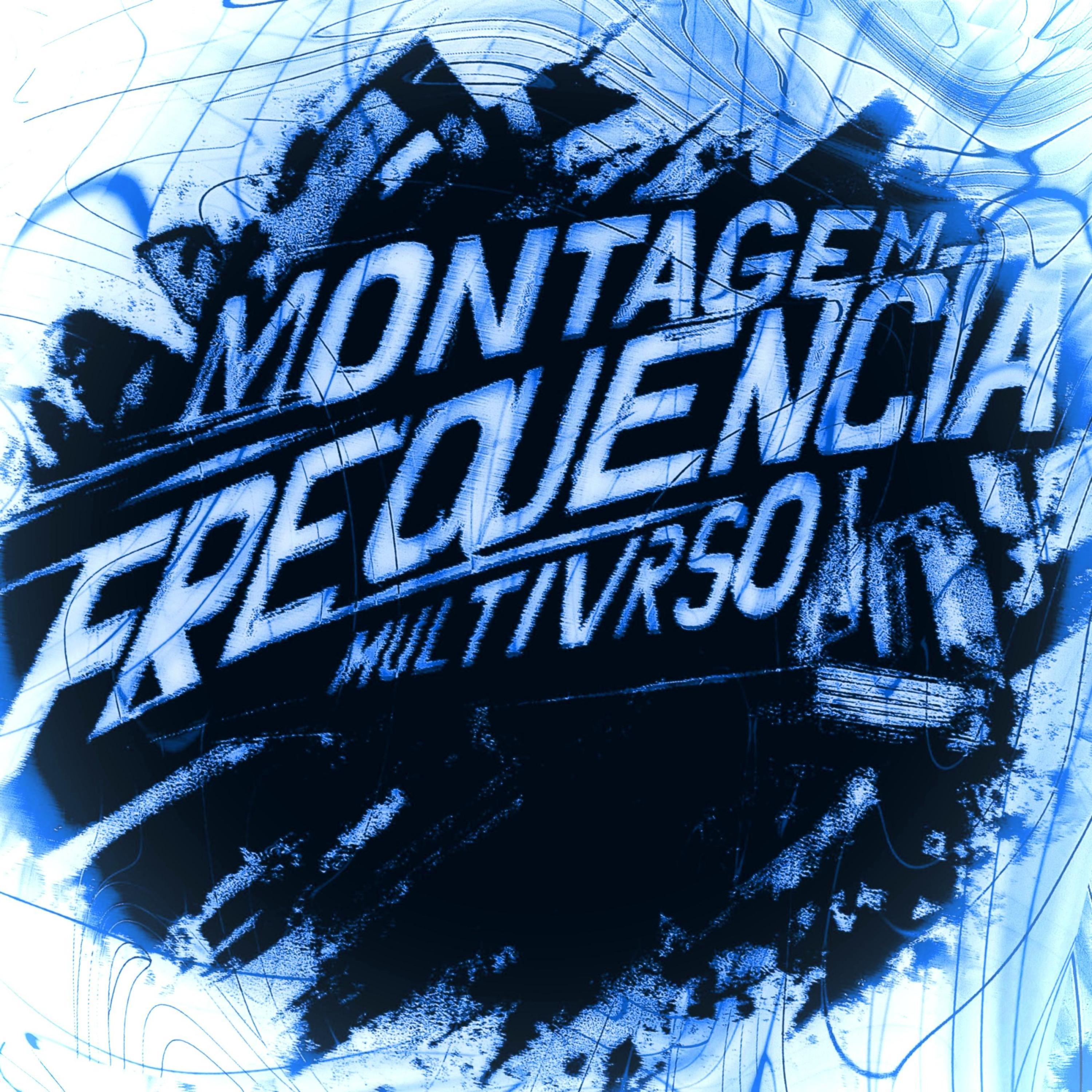 MONTAGEM - FREQUÊNCIA MULTIVERSO