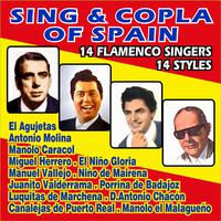 Sing & Copla of Spain - 14 Flameco Singers