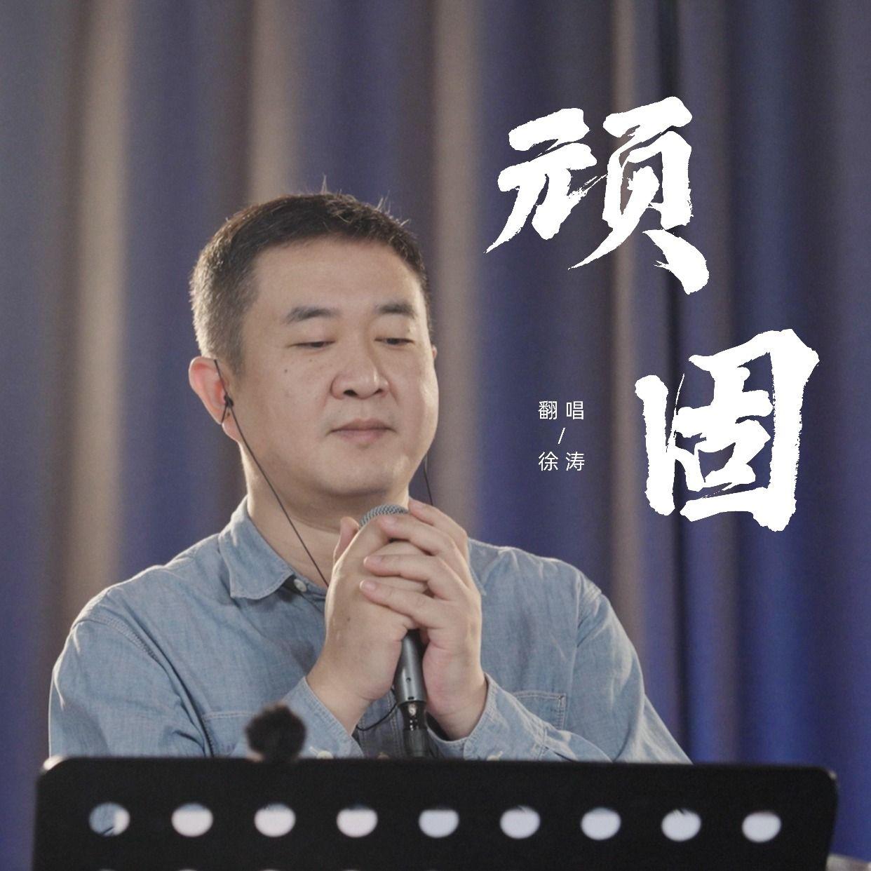 顽固封面