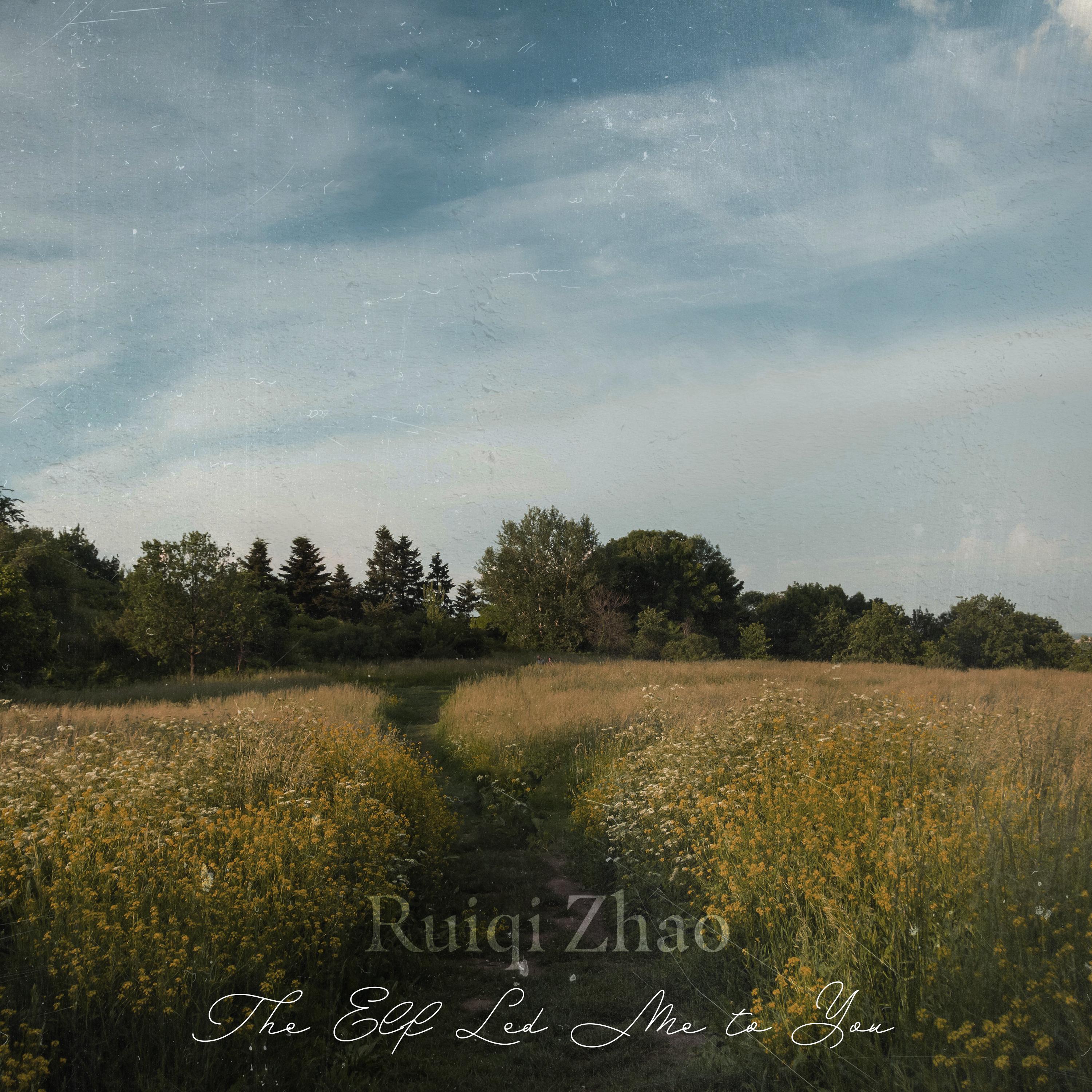 Save You from the Death